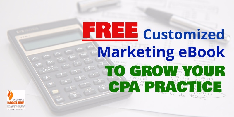 FREE Customized Marketing eBook for CPAs