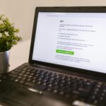 a laptop beside green plant