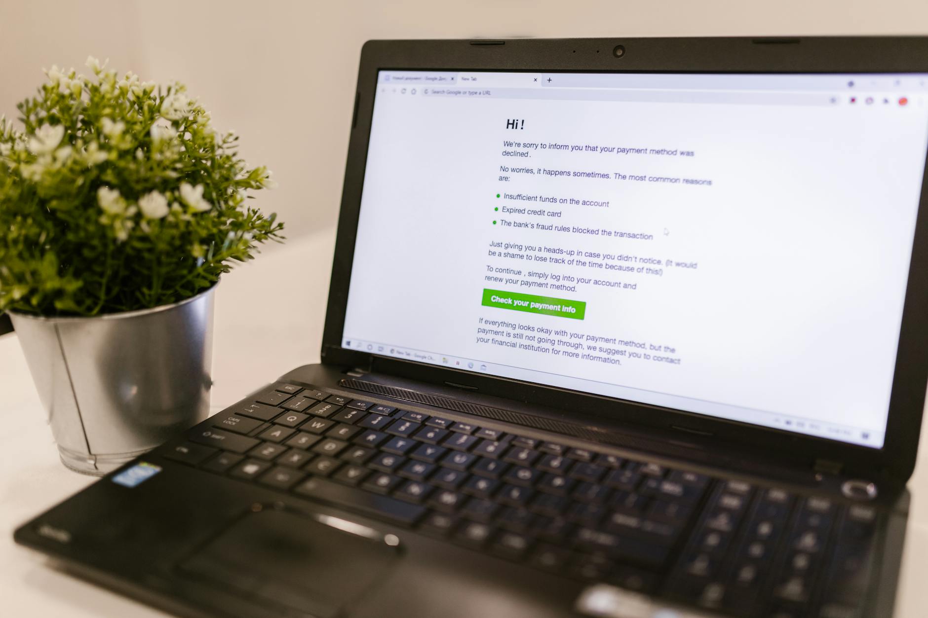 a laptop beside green plant